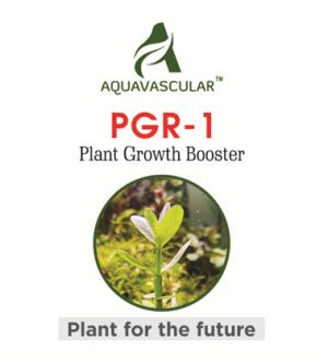 AquaVascular PGR1