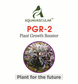 AquaVascular PGR2