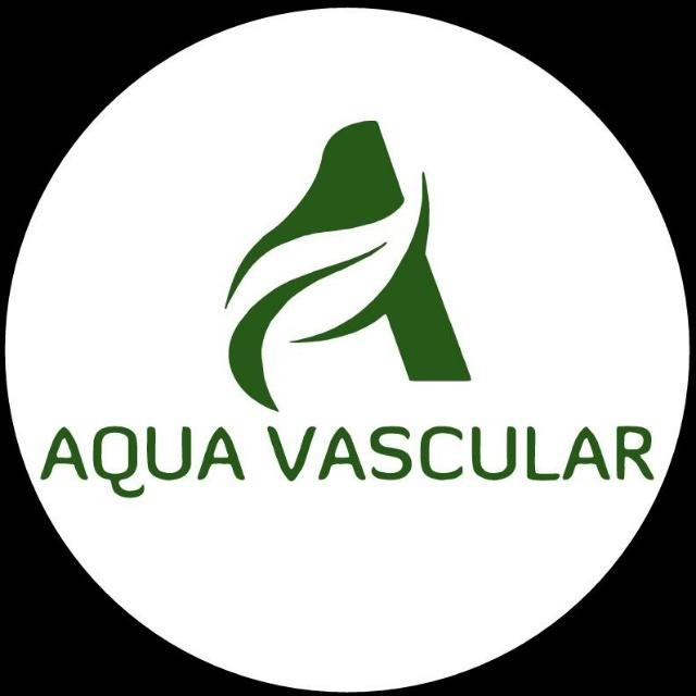 AquaVascular
