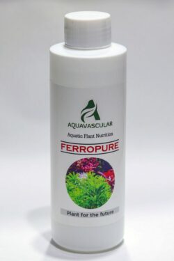 AquaVascular Ferropure 250ml