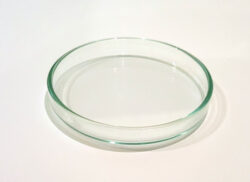 Shrimp Feeding Dish (Glass) - 10cm(L)