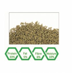 WA Turtle Tortoise Nutra Feed | 500ml – 175g