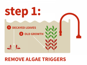 rStep 1 remove algae triggers1