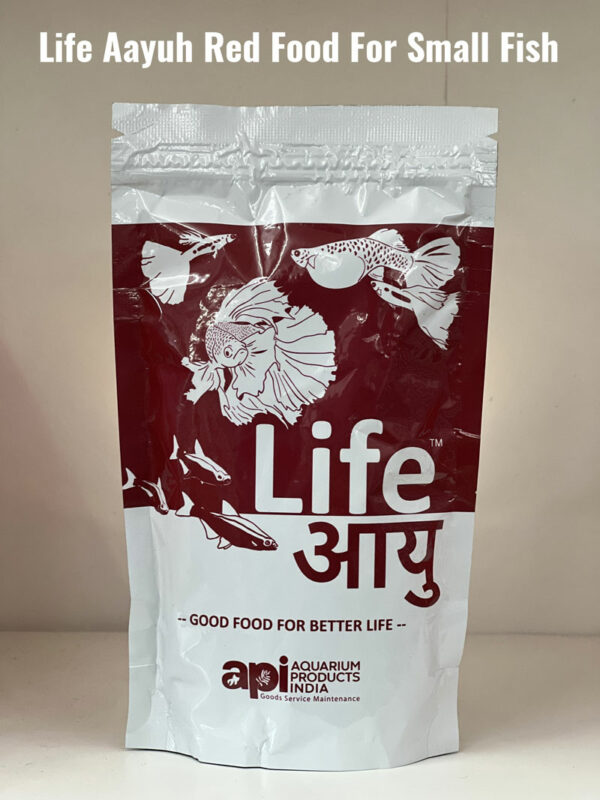 API Life Red Fish Food - Small | 100gm