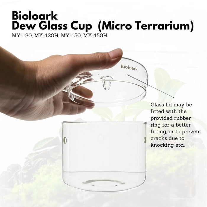 https://www.aquazones.in/wp-content/uploads/2022/11/bioloark-dew-glass-cup-micro-terrarium-my-series_6368f49ea08f4.jpeg