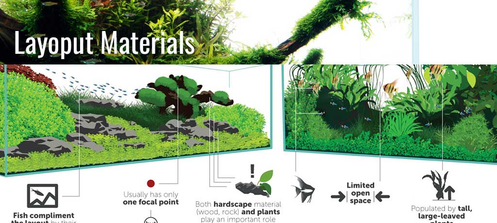 Layout Materials like Wood and Rock for Planted Tank