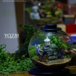 Netlea Purepot Terrarium bottle YQ220