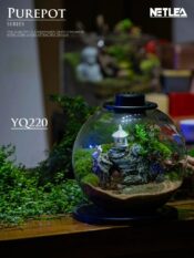 Netlea Purepot Terrarium bottle YQ220