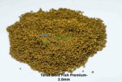 teraa gold fish premium 6525005f09001