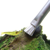 Aquapro Algae Brush Pro