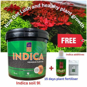 Indica Soil Free bundle