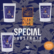 Special Substrate Advanced / Indica Special Substrate Advanced