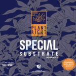 INDICA Special Substrate Advanced