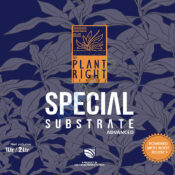 Special Substrate Advanced / Indica Special Substrate Advanced