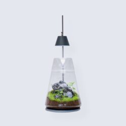 LEDSTAR AQ DOT-2 With Dew Collection Jar